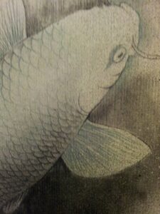koi13