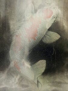 koi14