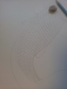 koi3
