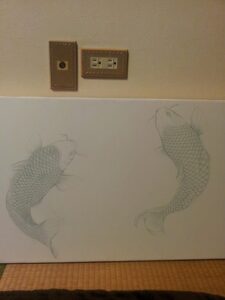 koi6