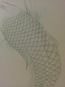 koi7